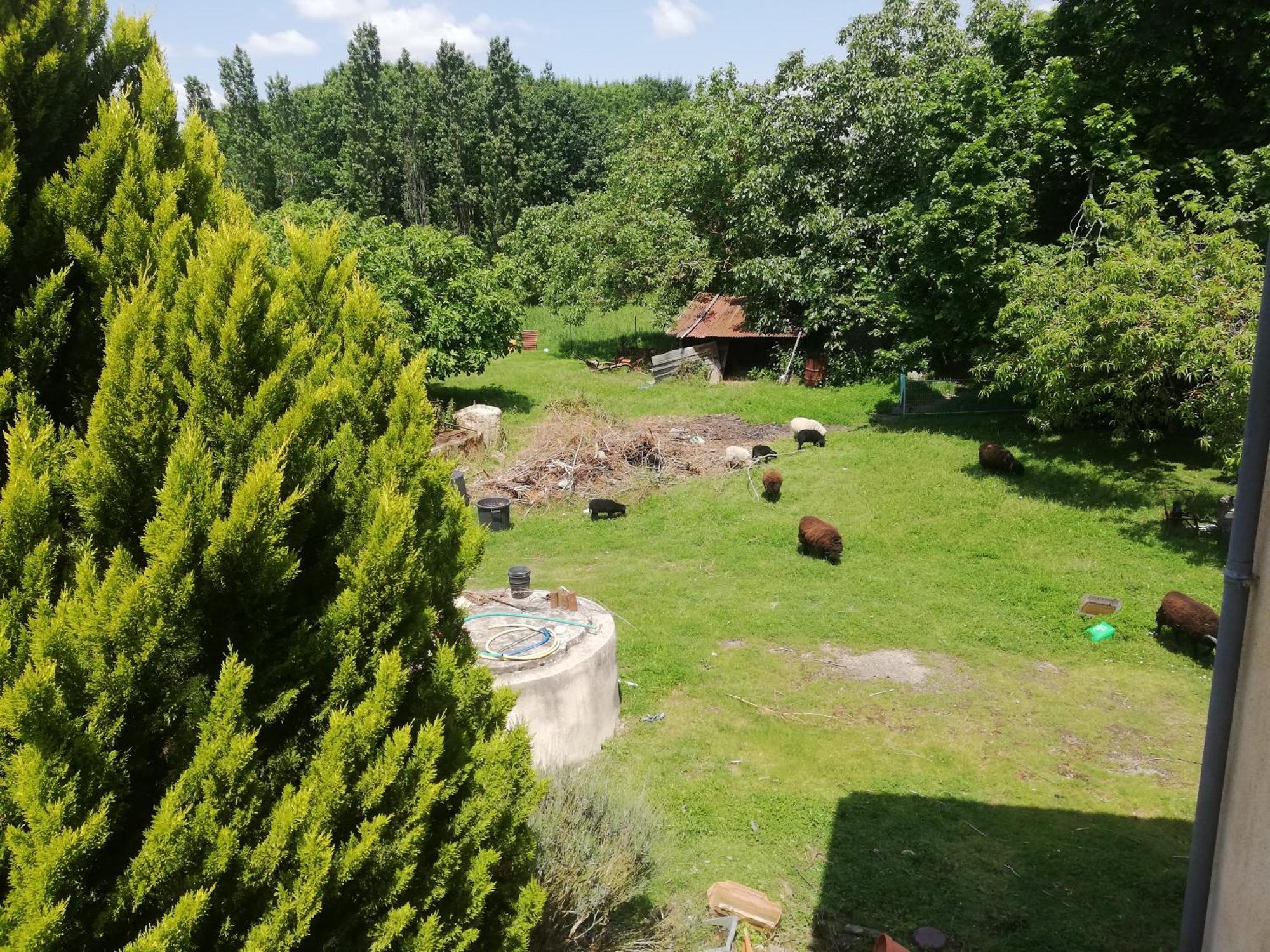 Chez Paulette Apartment Fontet ภายนอก รูปภาพ